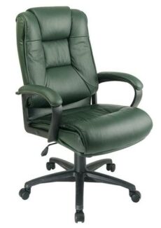 Find Office Star Work Smart EX5162-G16 Executive High Back Green Glove Soft Leather Chair with Padded Loop Arms near me at OFO Jax